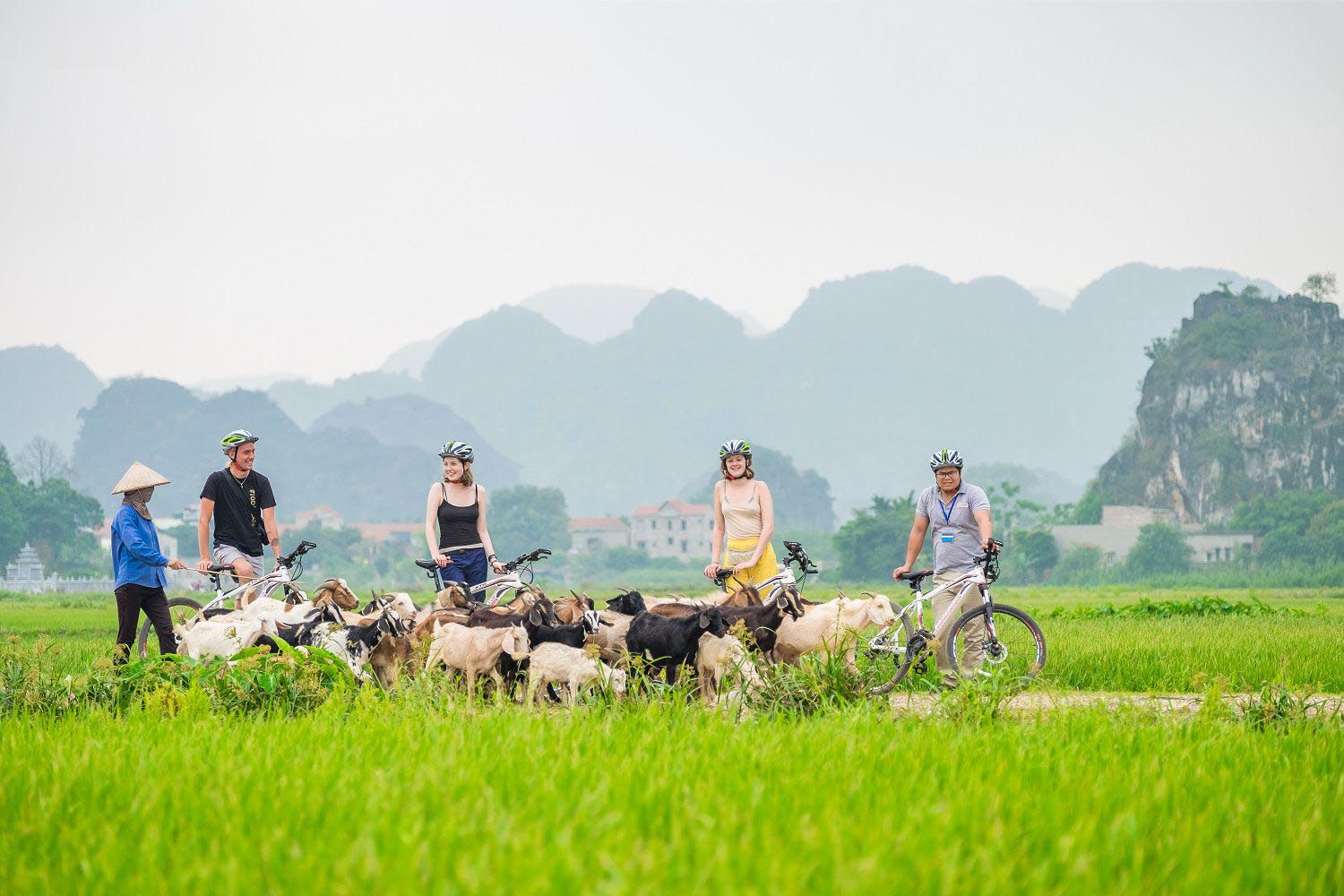 The Best Time To Visit Mai Chau Vietnam For The Most Stunning Scenery